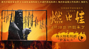 国产成人综合网在线观看